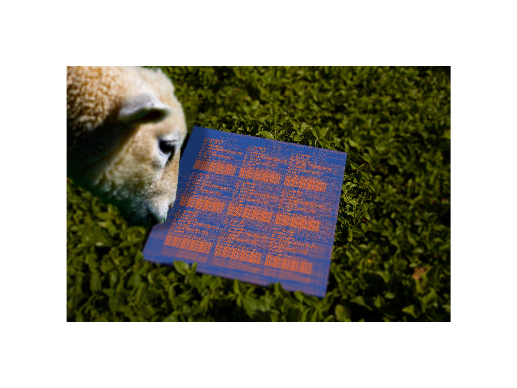 cover 2