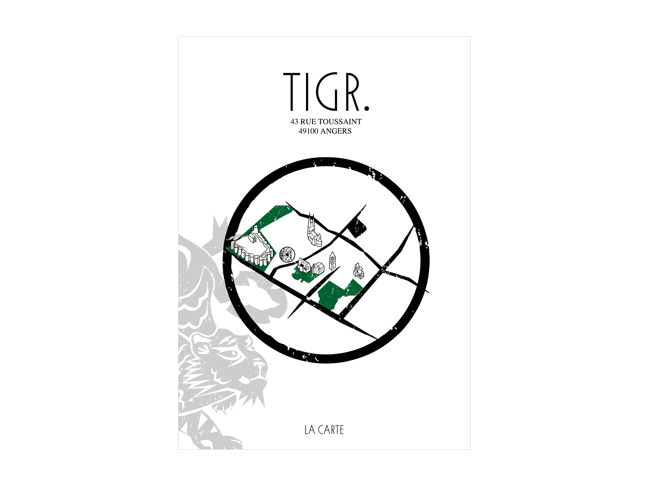 tigr 3