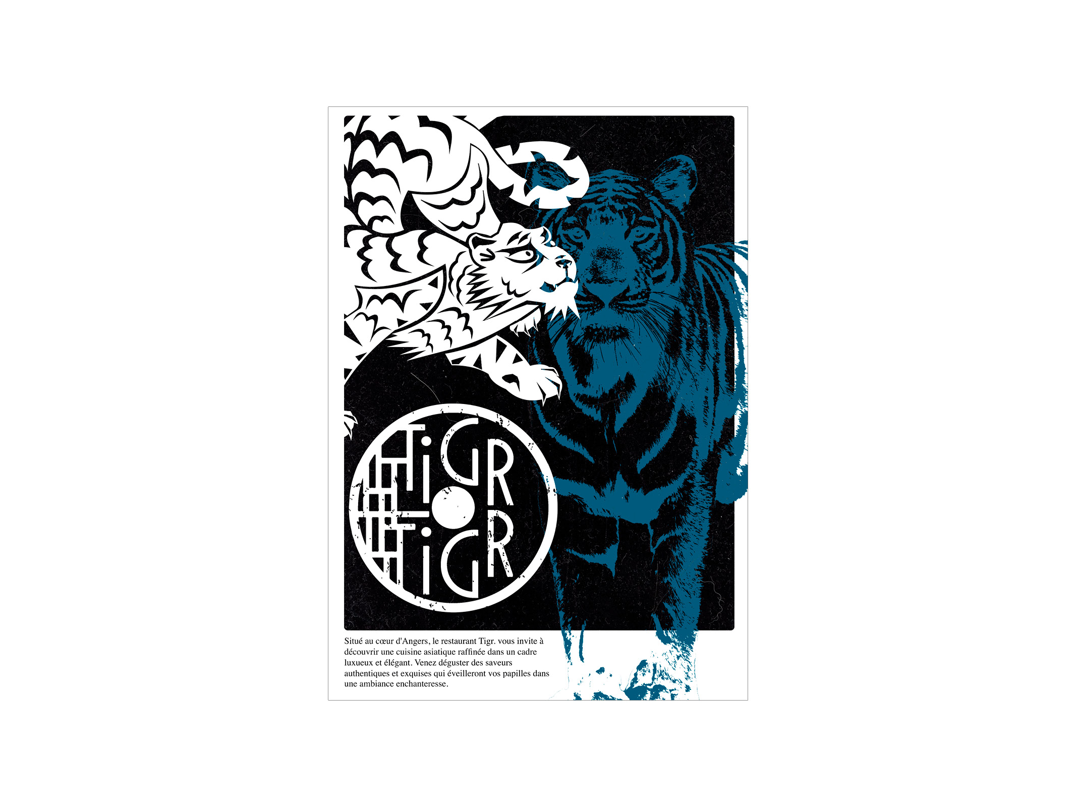 tigr 5