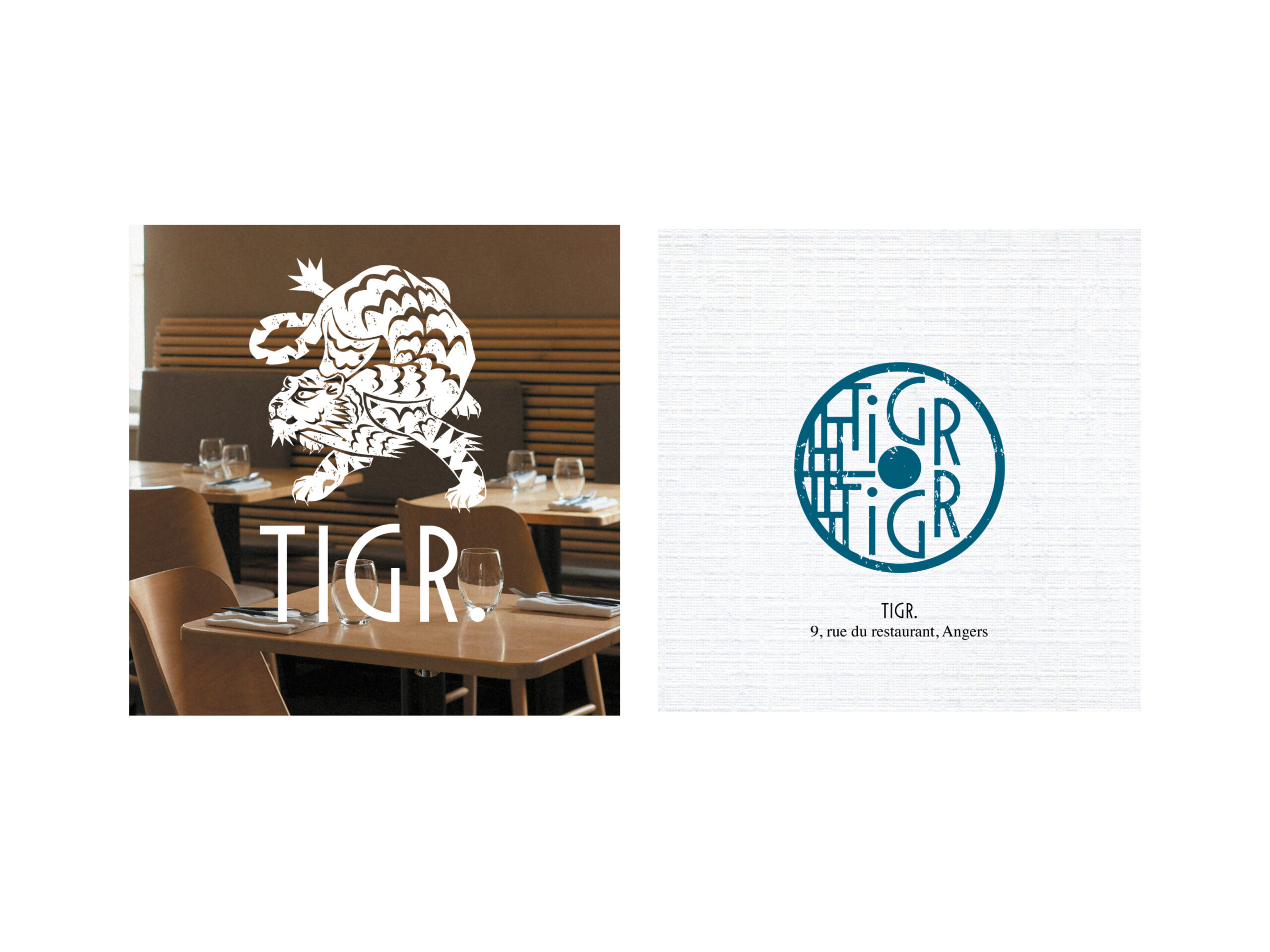tigr 9